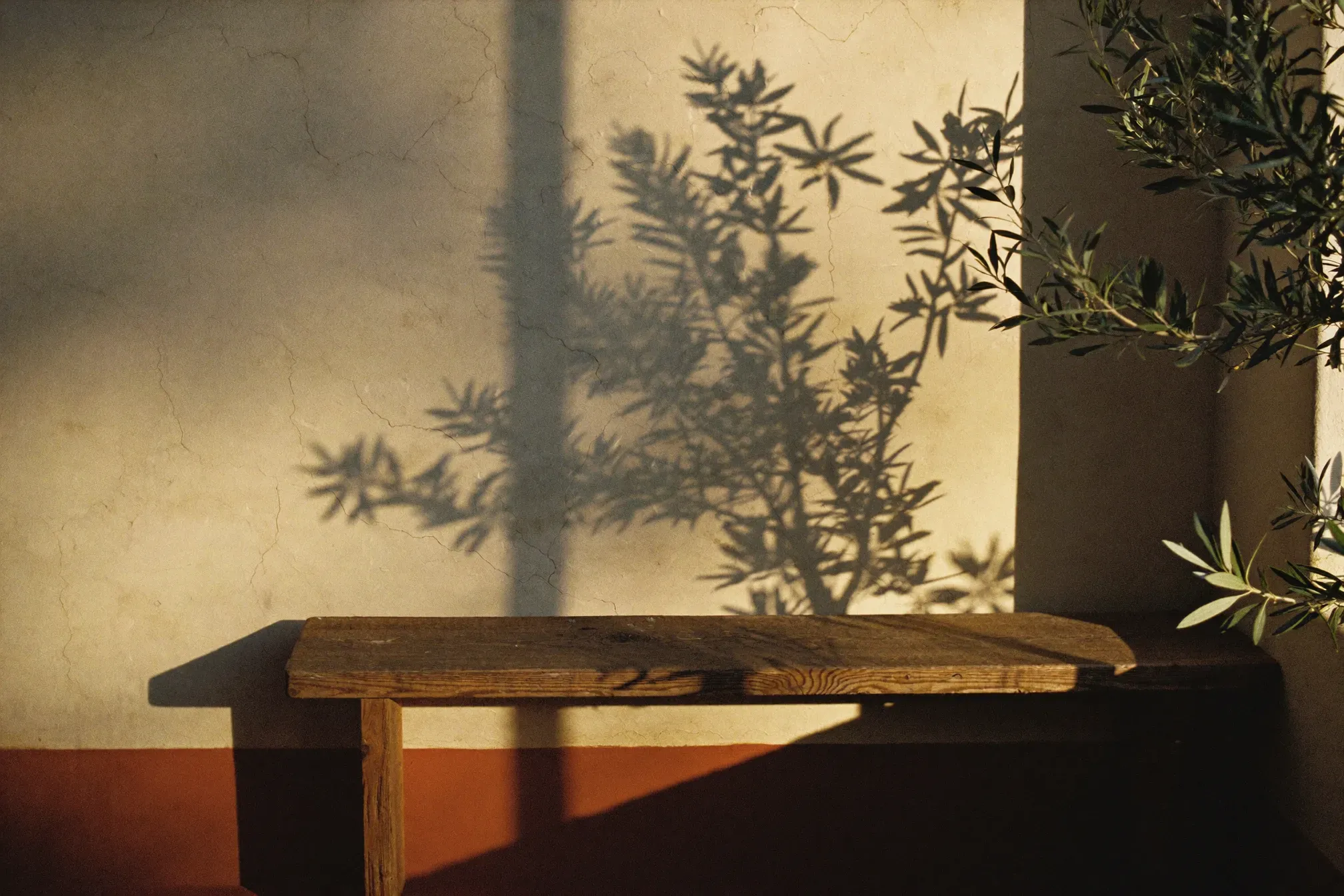 An olive-wood bench in warm, raking Mediterranean light against a plaster wall.